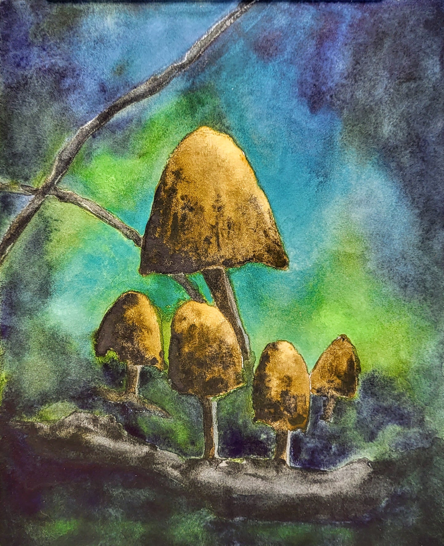 Magic Mushrooms