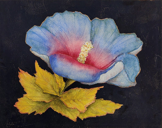 Blue Hibiscus in the Dark