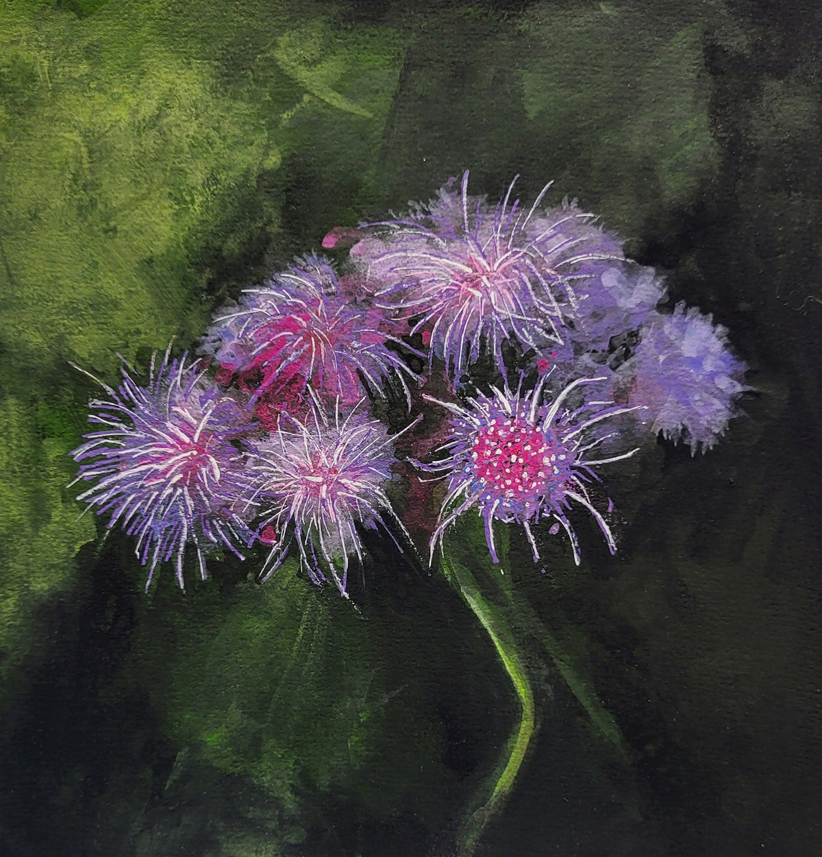 Floss Flower