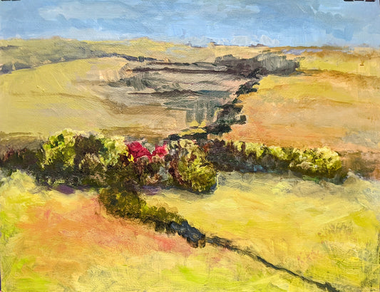 Kansas Prairie