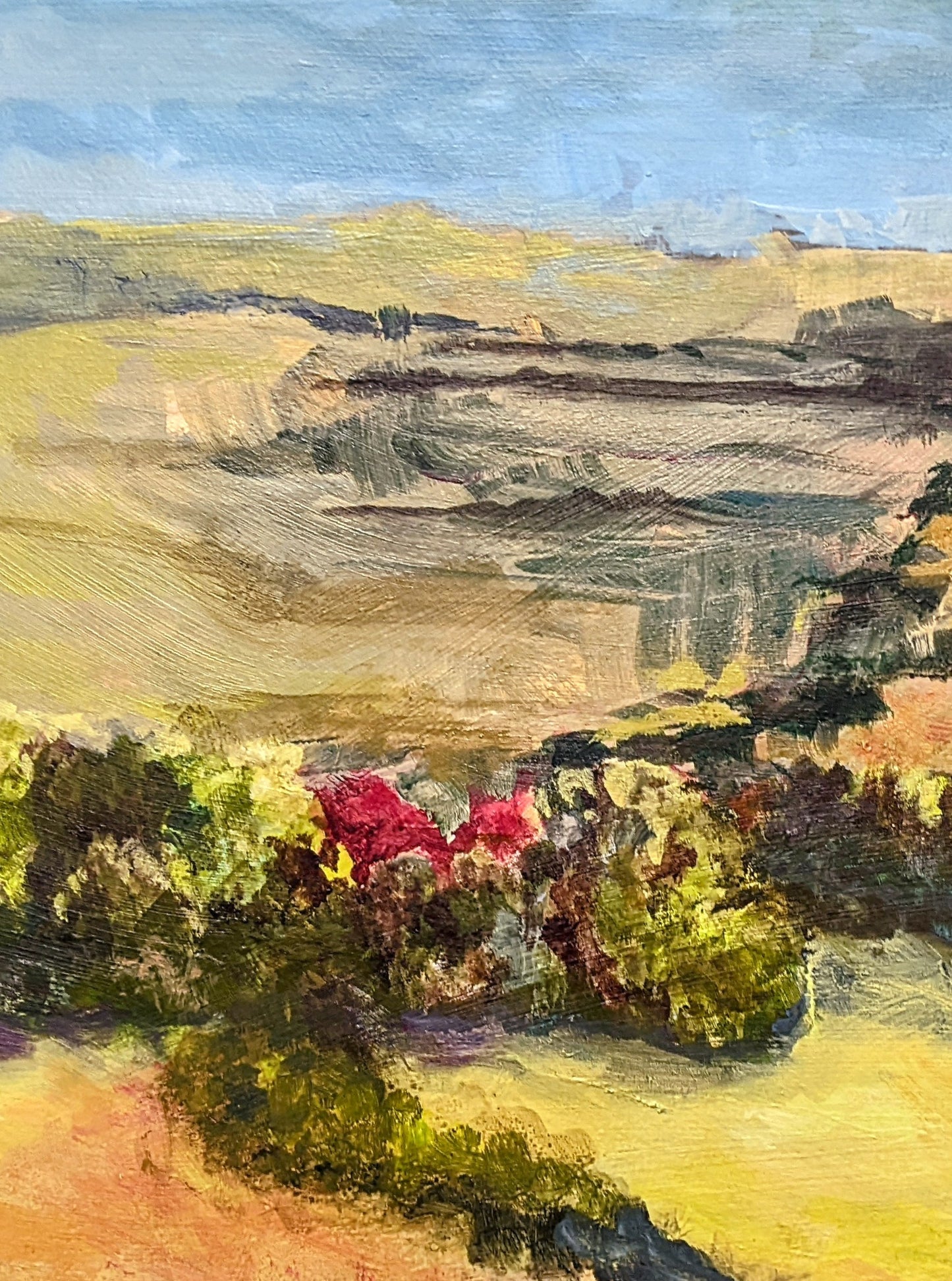Kansas Prairie