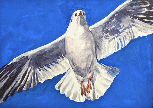 Dove of Peace