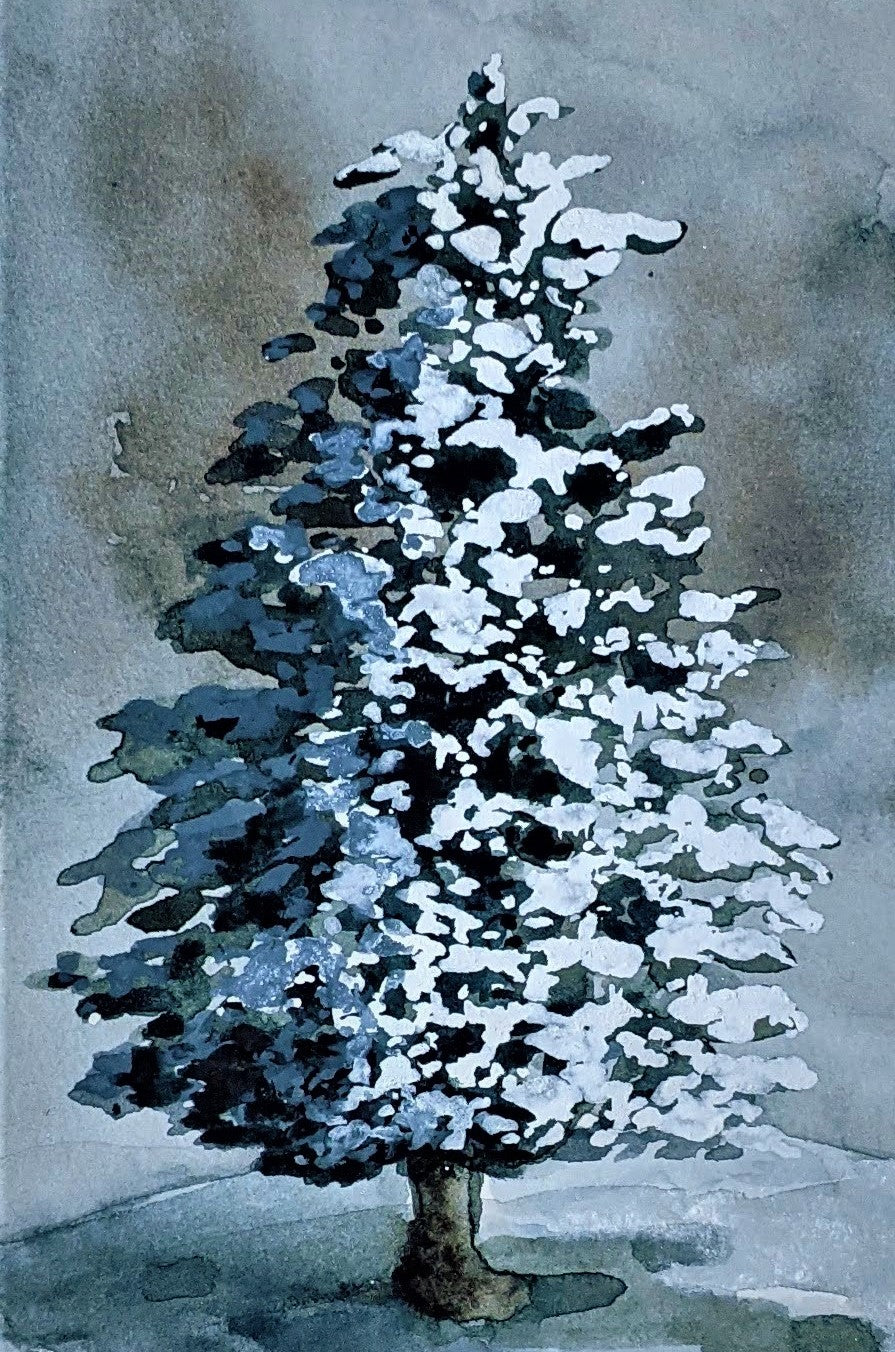 Evergreen watercolor painting on paper detail