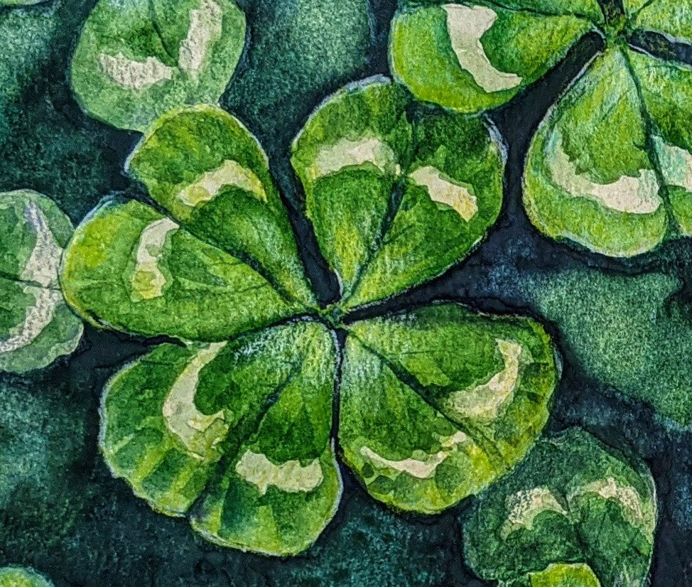 Four Leaf Clover