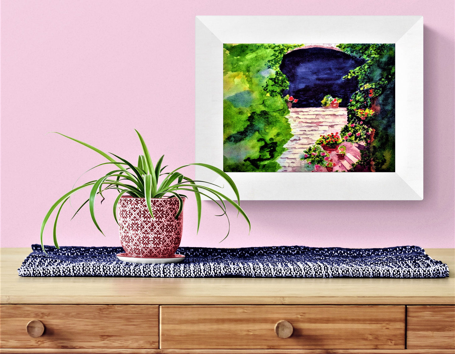Geraniums in France
