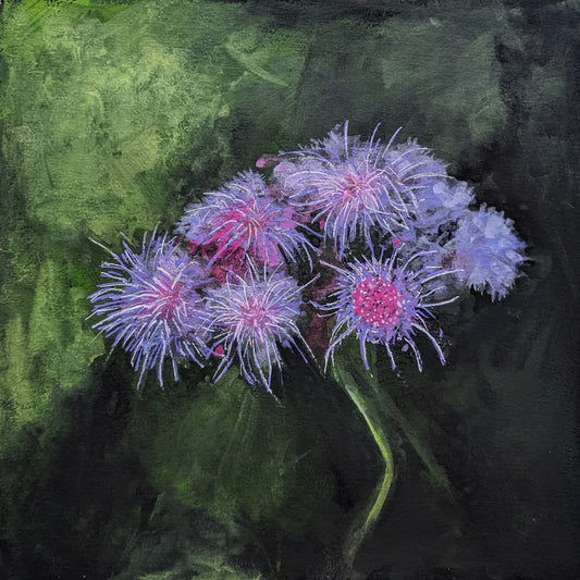Floss Flower