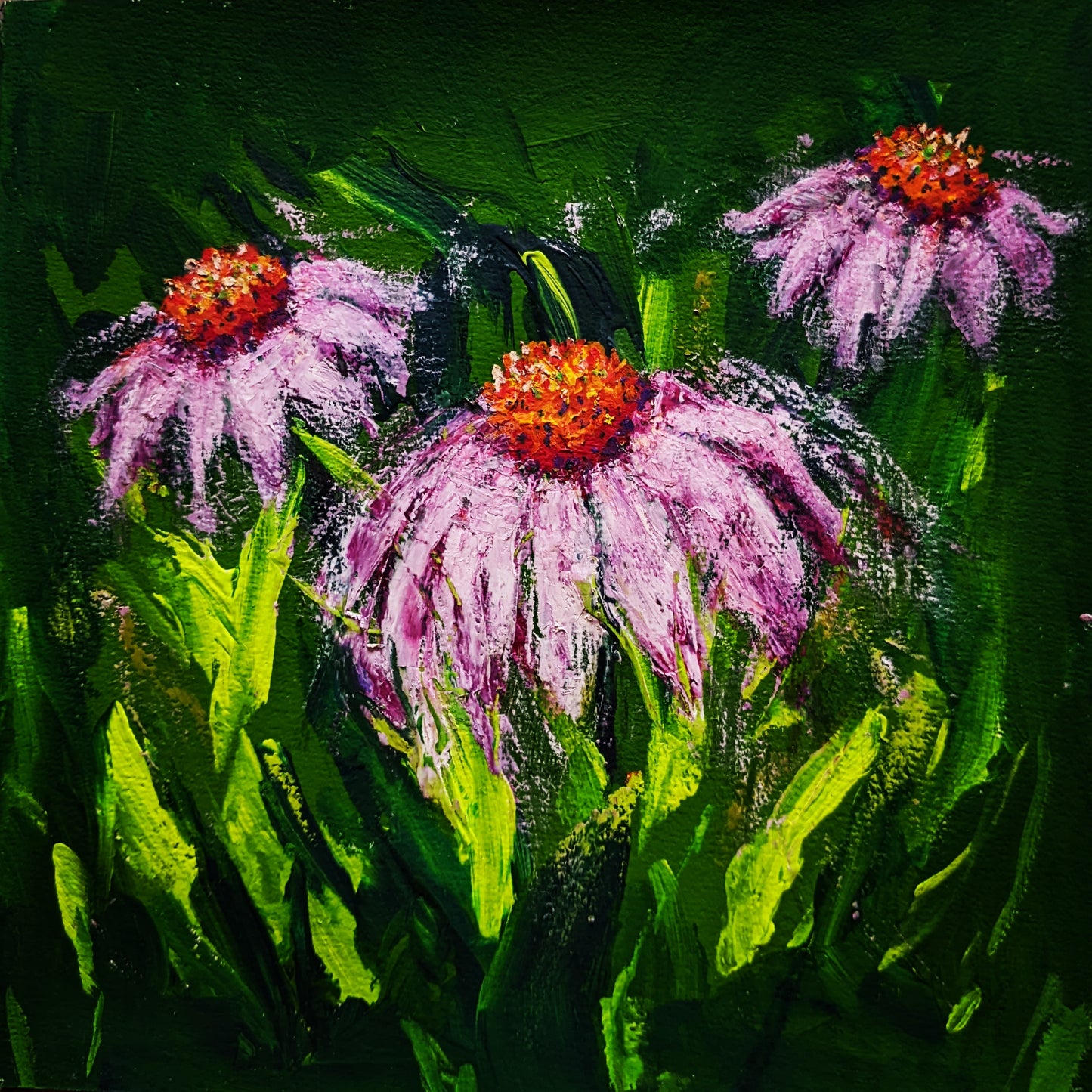 Purple Cone Flowers