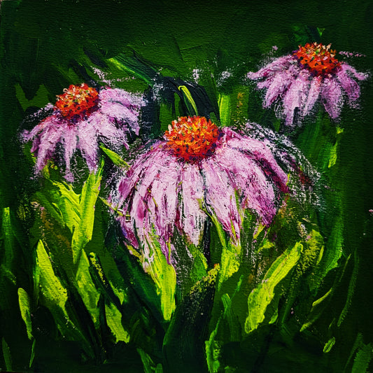 Purple Cone Flowers