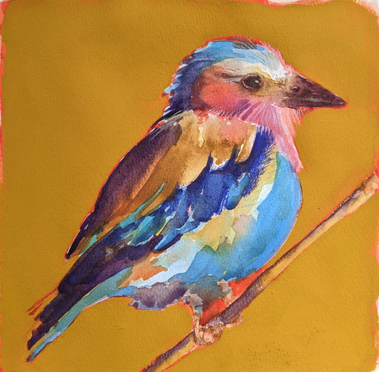 Lilac Breasted Roller watercolor painting on paper