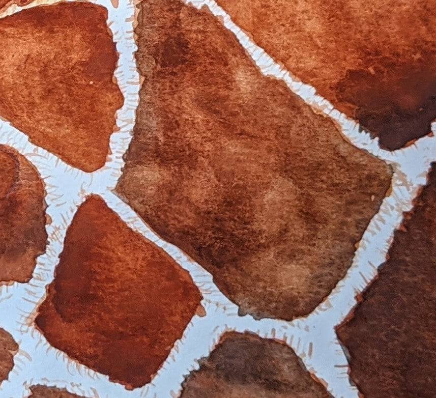 Long neck giraffe watercolor painting detail