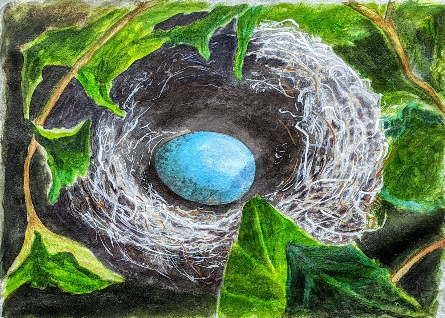 Bird's Nest in the Yard