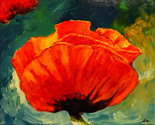 Single Poppy