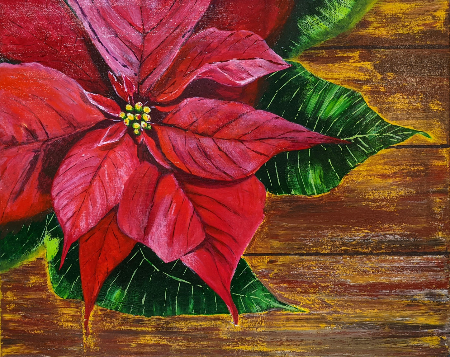 Poinsettia on the Table