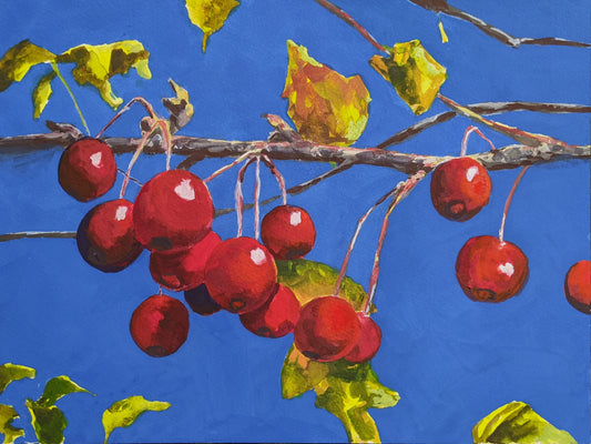 Crimson Berries on Blue