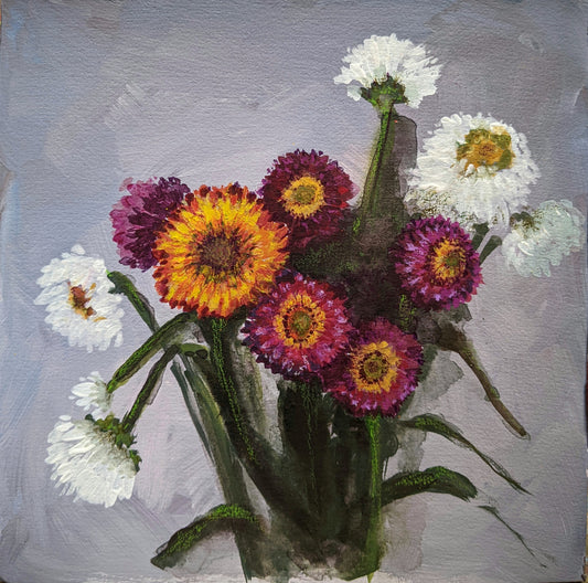 Strawflowers
