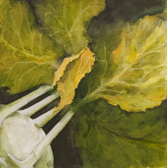 Kohlrabi