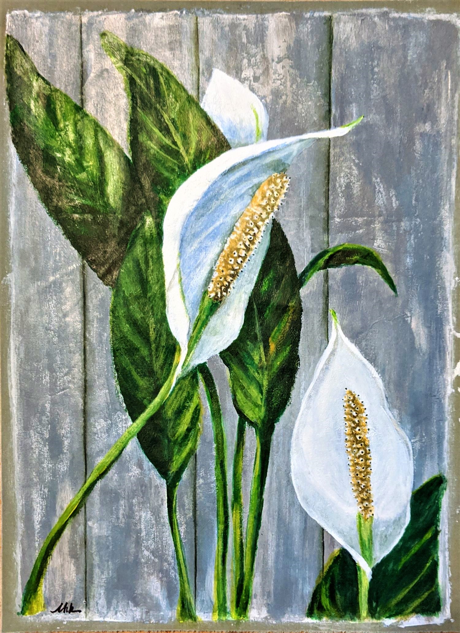 peace lily painting Peace Lily in the Yard 6.1.20 – Laura King Fine Arts