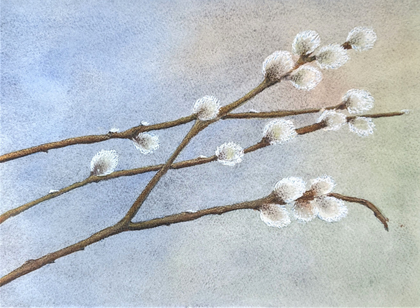 Pussywillow branches watercolor painting