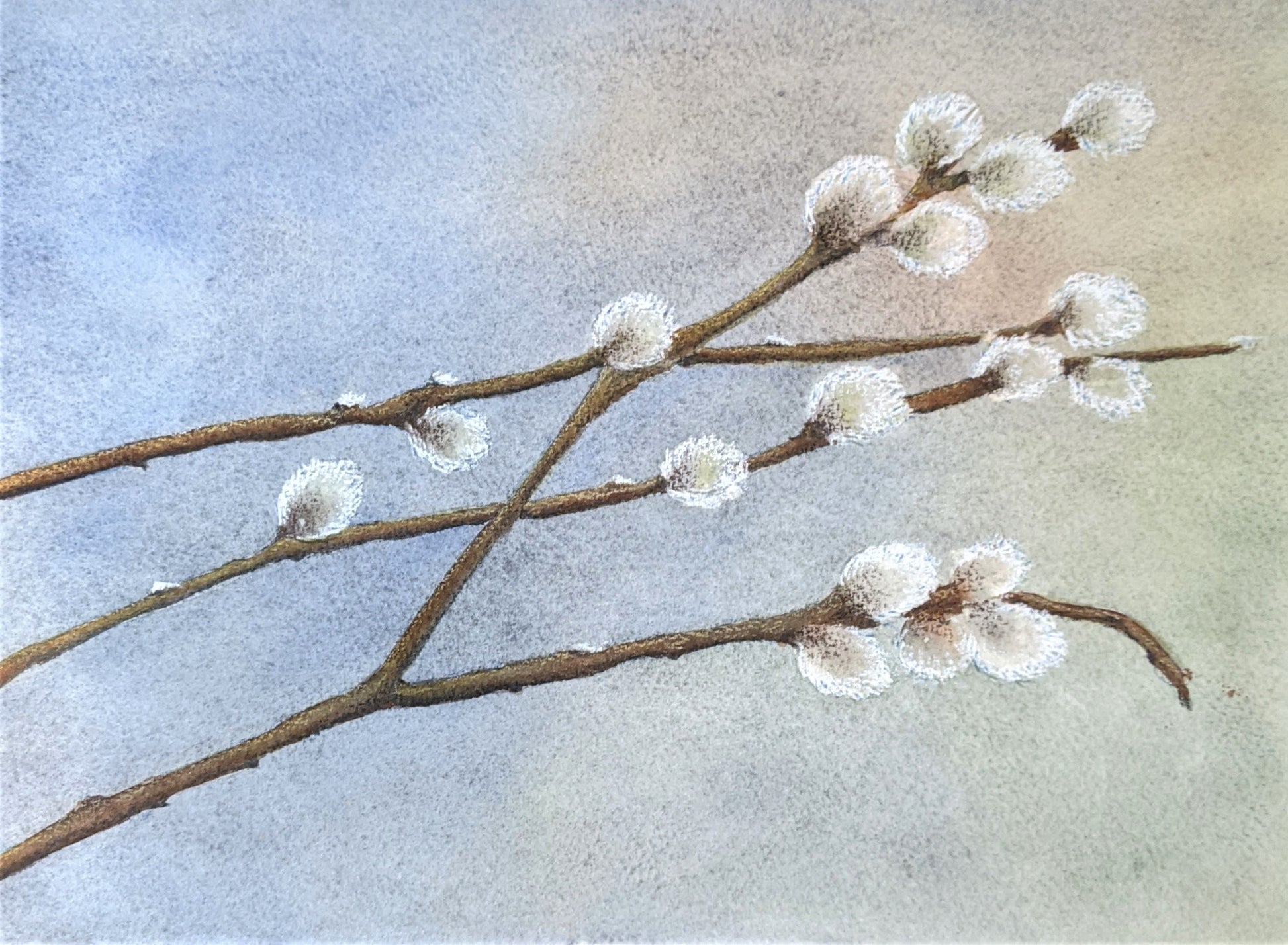 Pussywillow branches watercolor painting