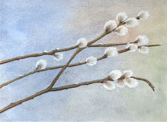 Pussywillow branches watercolor painting