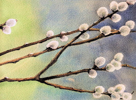 Pussywillow branches watercolor painting