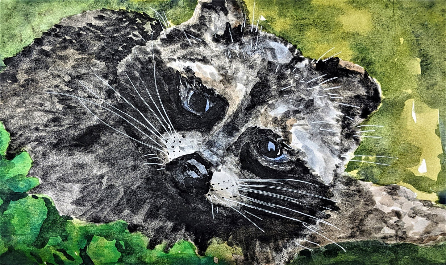 Racoon watercolor painting