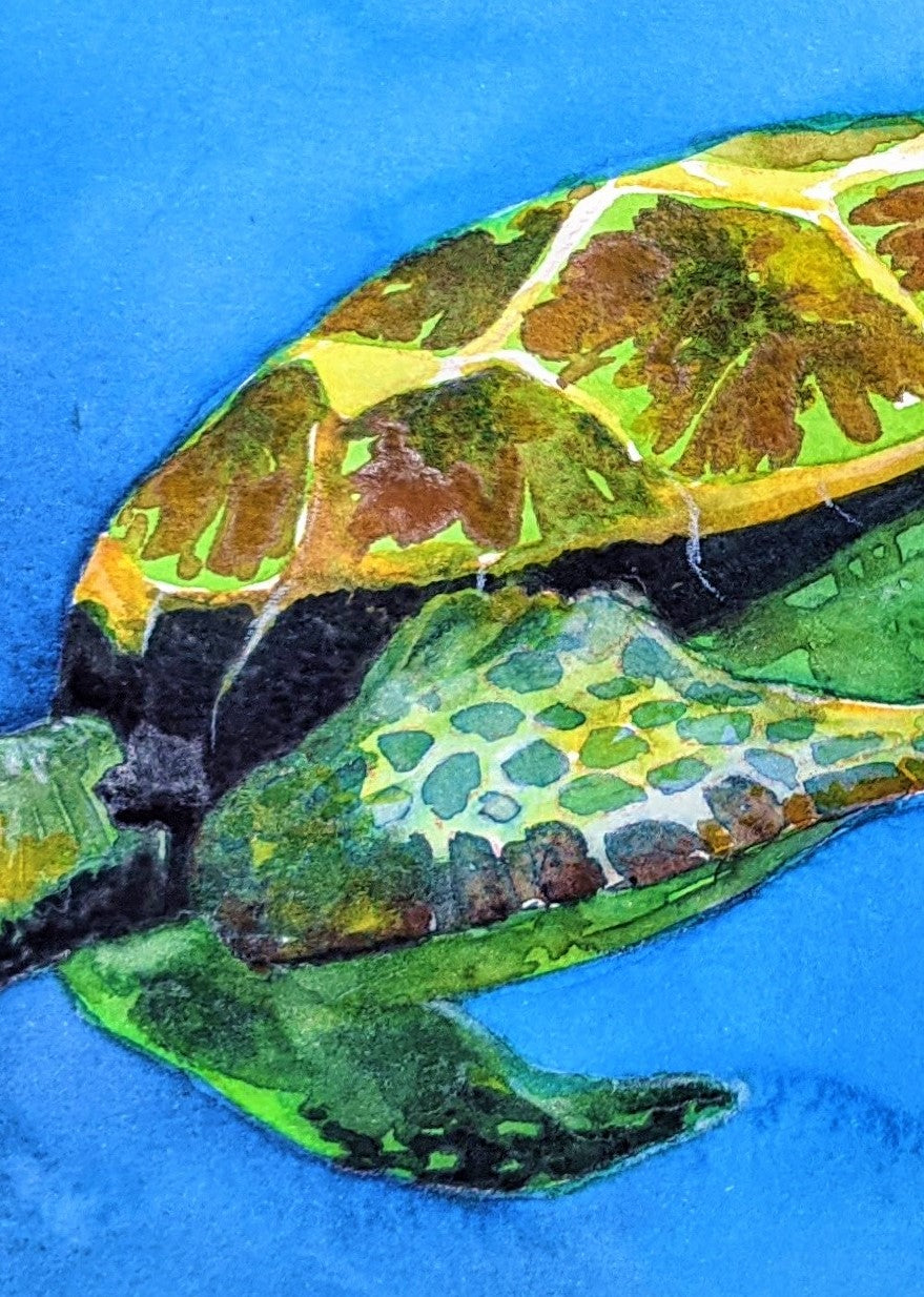 Sea turtle watercolor painting detail