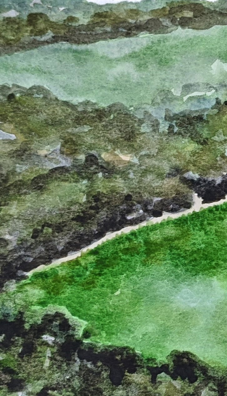 Vineyard below Château de Viviourès watercolor painting detail