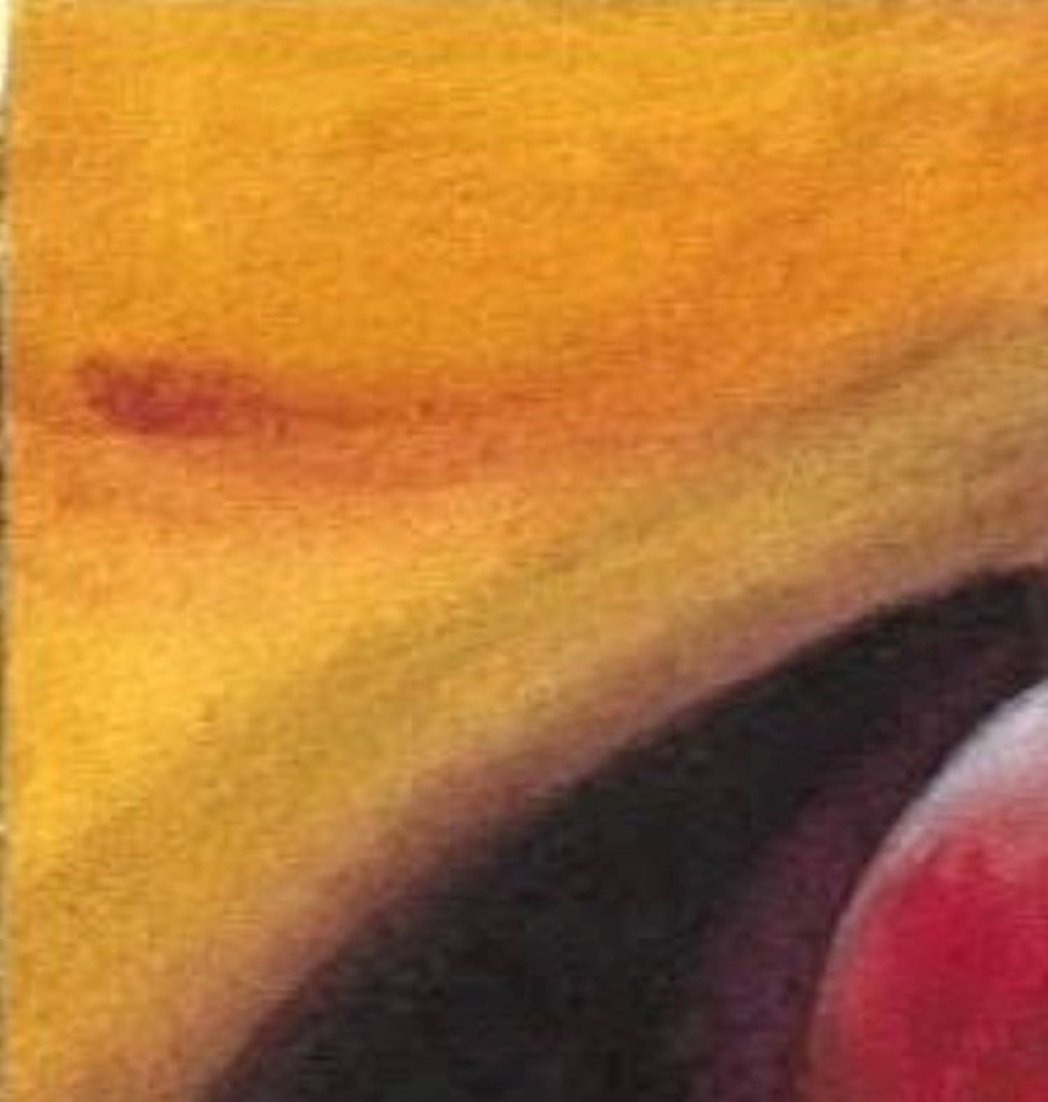 Warm apples watercolor painting detail