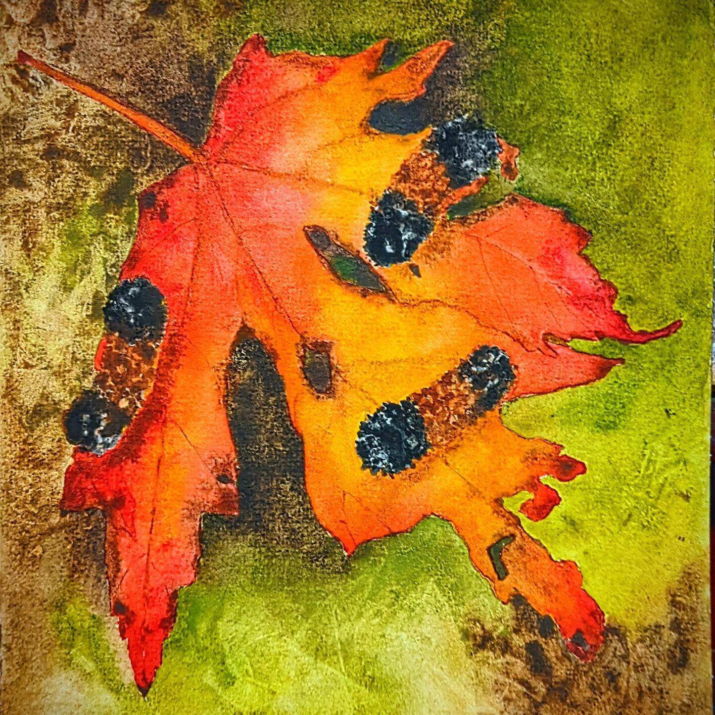 Wooly Caterpillars on a Maple Leaf