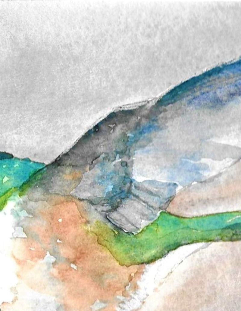 Hummingbird watercolor painting detail