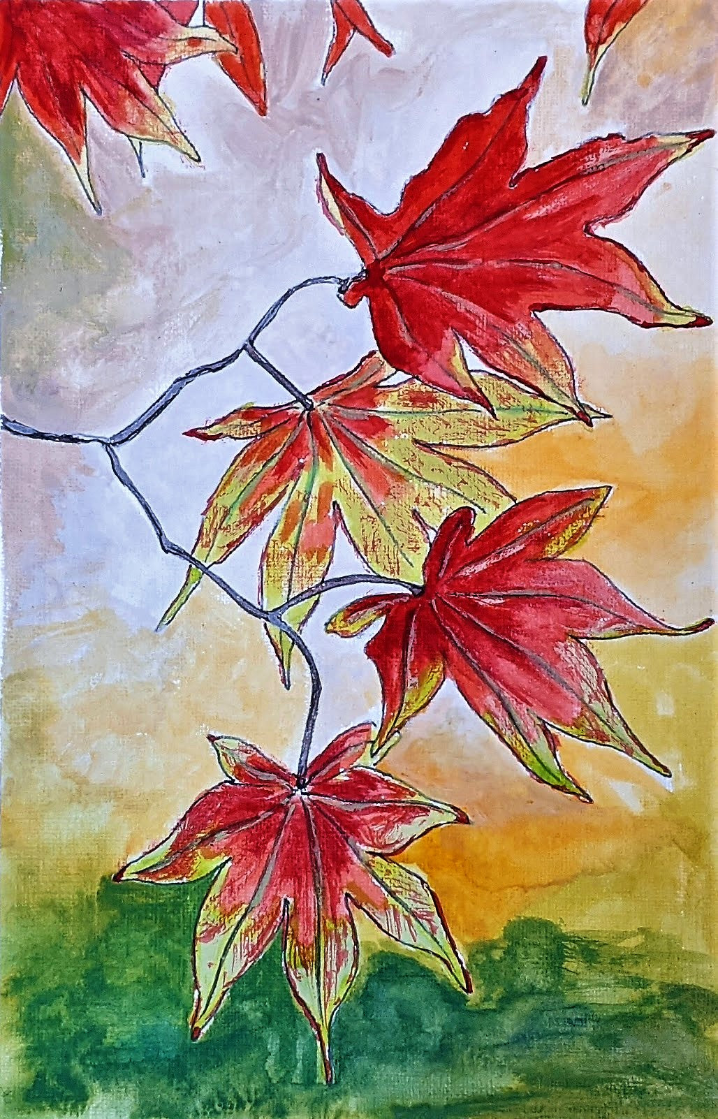 Maple Leaves