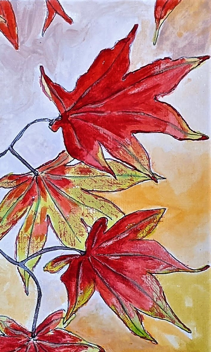 Maple Leaves