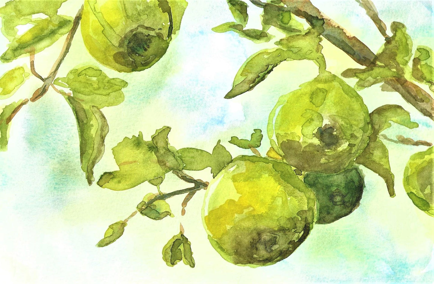 Pear tree watercolor painting