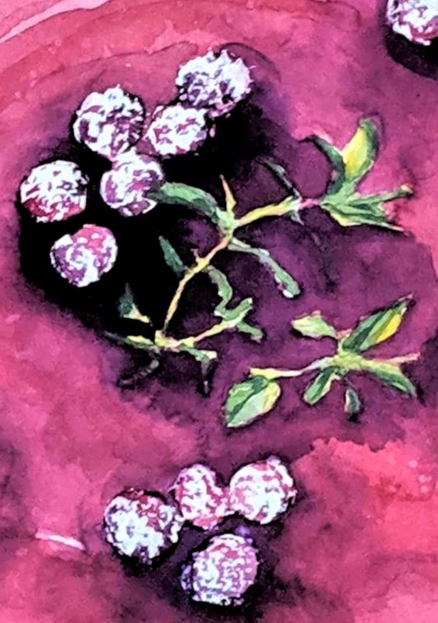 Plum Pie