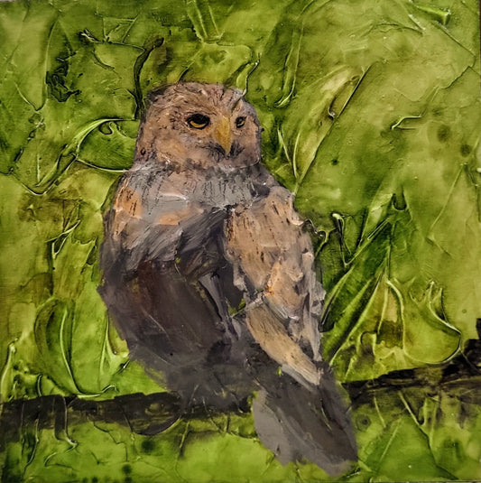 Searching for Wisdom