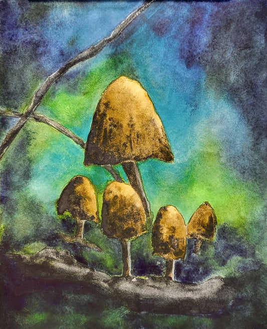 Magic Mushrooms