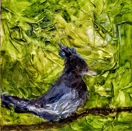Blue Jay