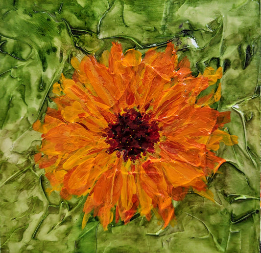 Kansas Sunflower