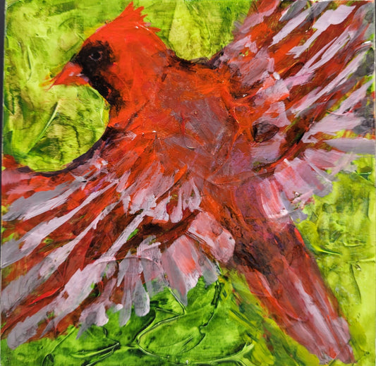 Cardinal in Flight