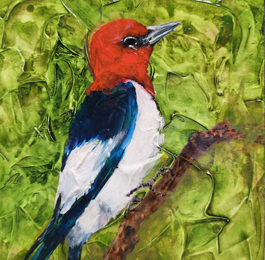 Red Headed Woodpecker