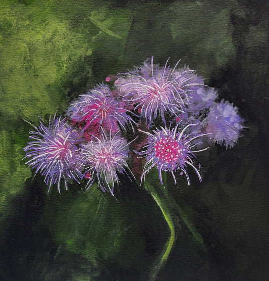 Floss Flower