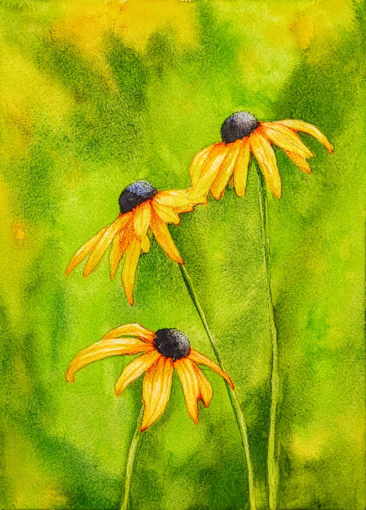 Black-Eyed Susans