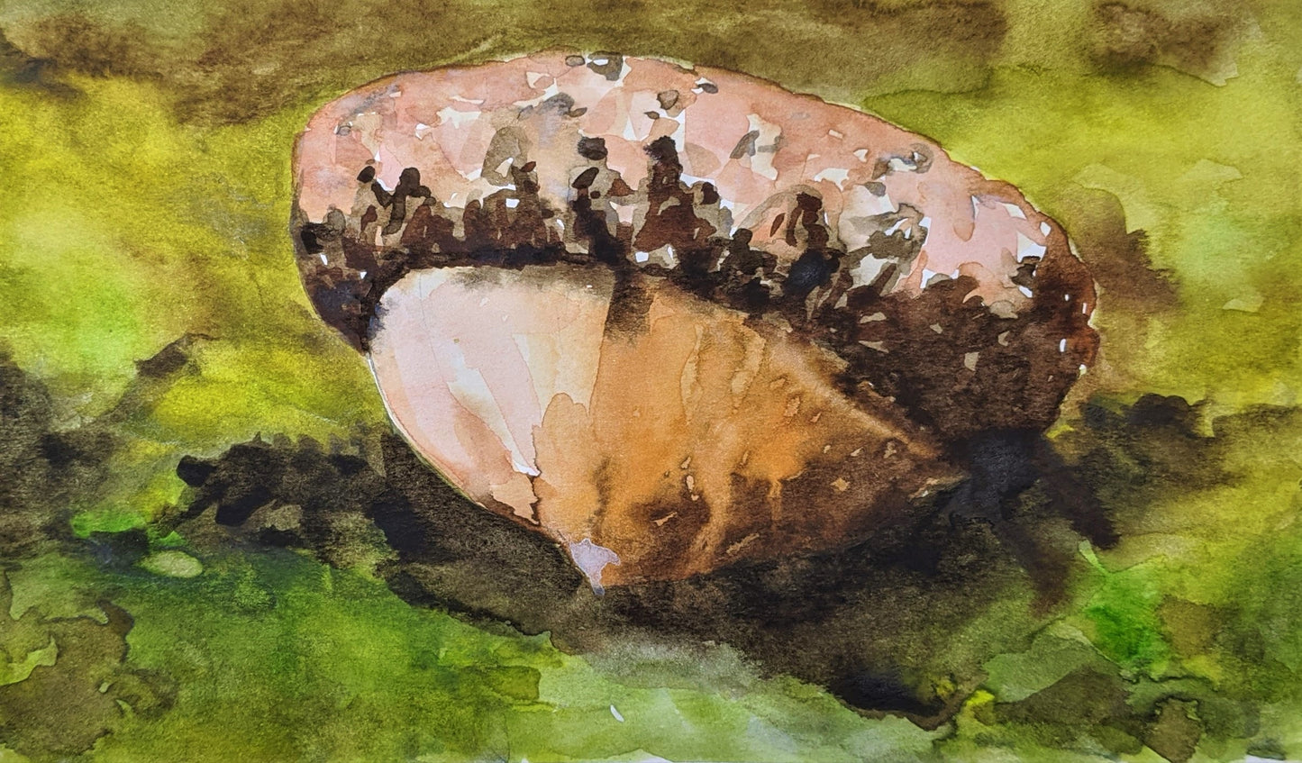 Acorn watercolor painting on paper