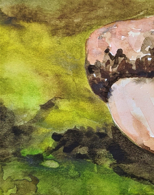 Acorn watercolor painting on paper detail