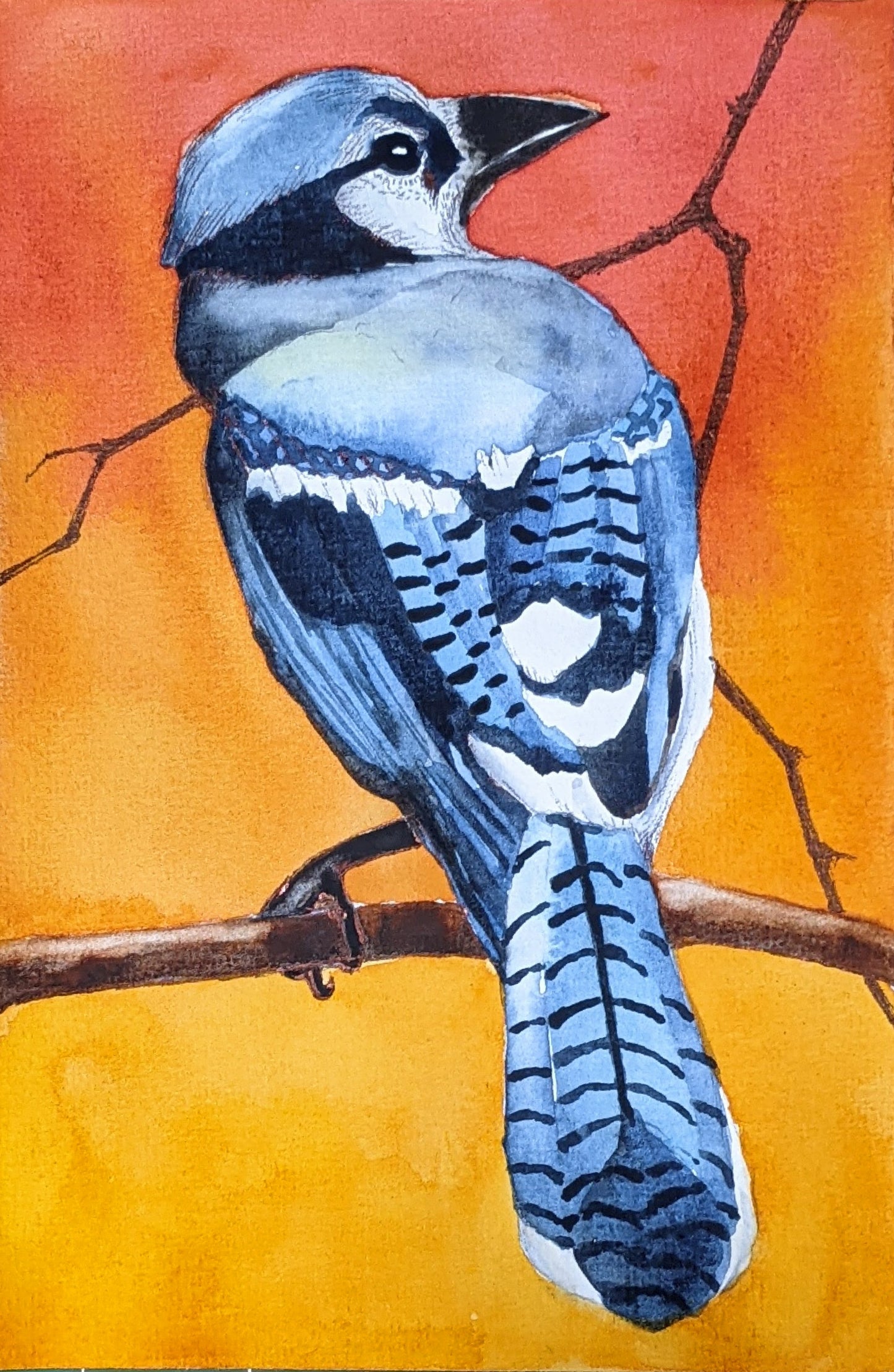 Blue Jay at Sunset watercolor painting on paper