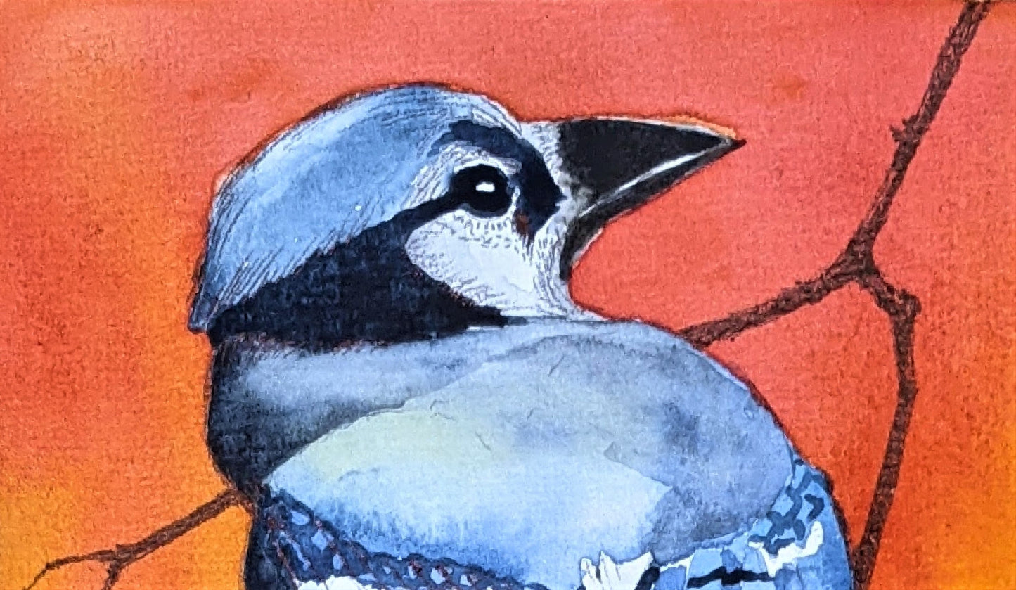 Blue Jay at Sunset watercolor painting on paper detail