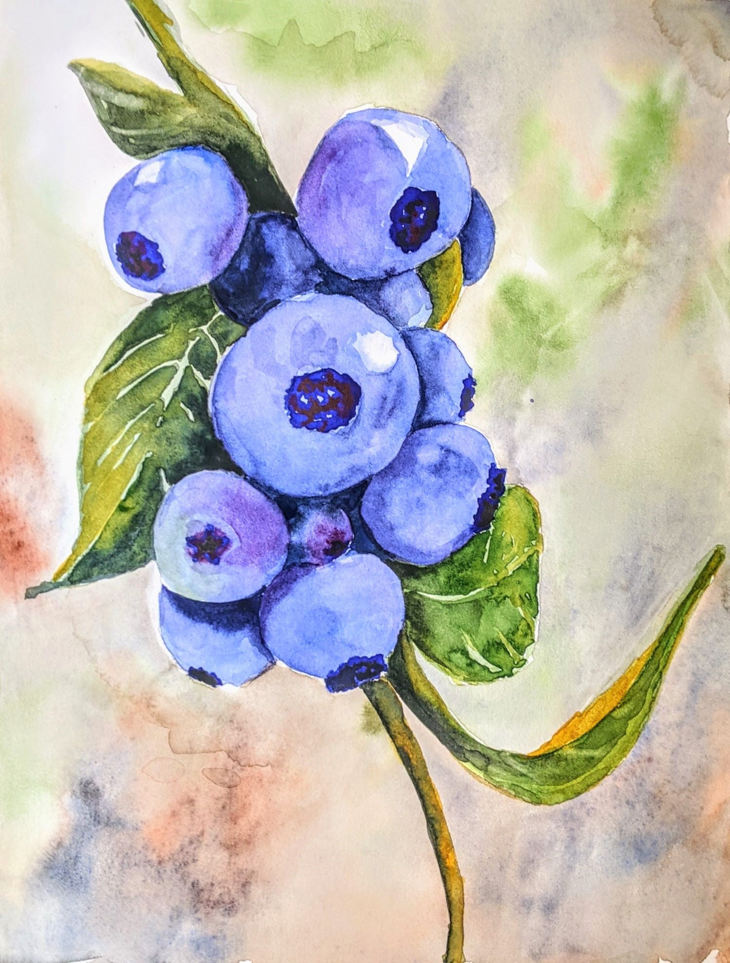 Blueberries watercolor painting