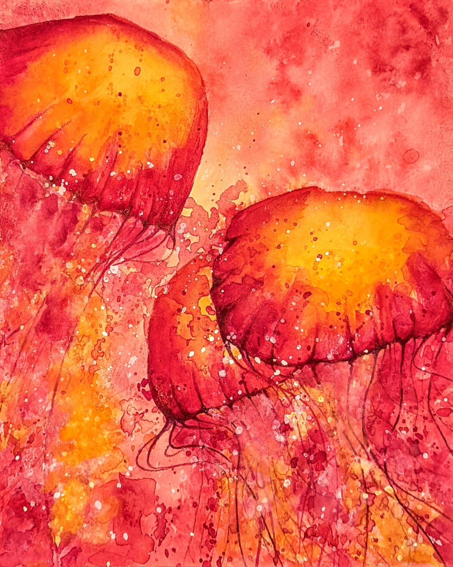 Coral Jellyfish watercolor painting on paper