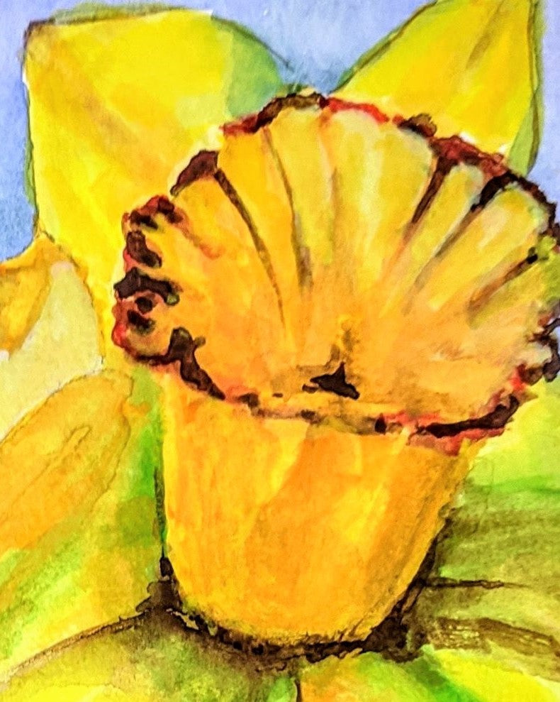 Daffodil trio watercolor painting detil